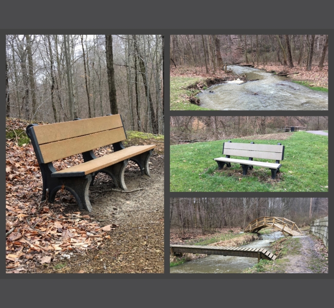 The opening of Holmesbrook Trail - Bench Donation